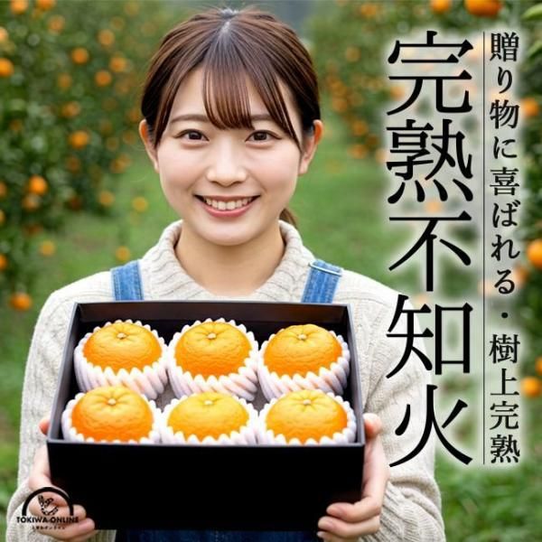 β ߤ£եȡ 2kg ɲ 罧 󥸥饤