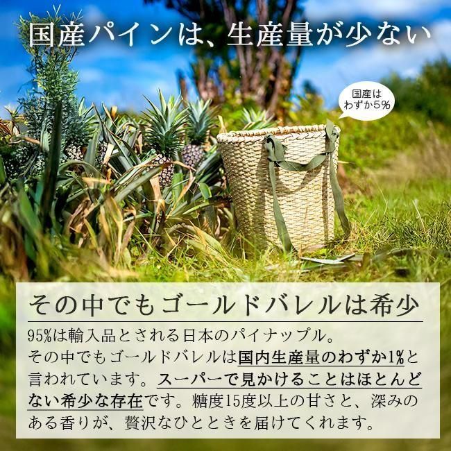 パイナップル|ゴールドバレル 2玉入 - 《公式》ときわオンライン
