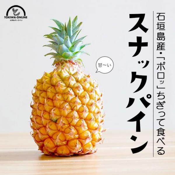 ʥåѥʥܥ 2 ե