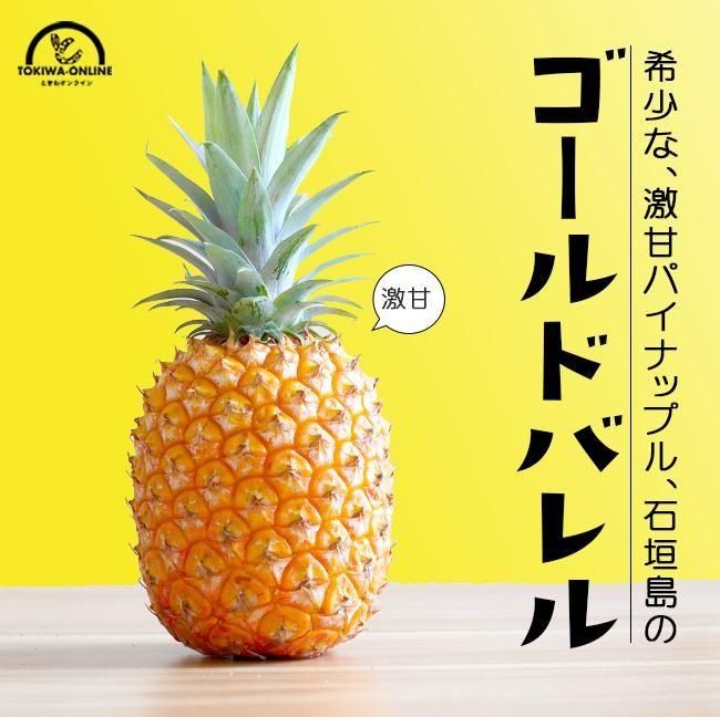 パイナップル ゴールドバレル | 訳あり 4玉入 - 《公式》ときわ パイナップル ゴールドバレル | 訳あり 4玉入 - 《公式》ときわ