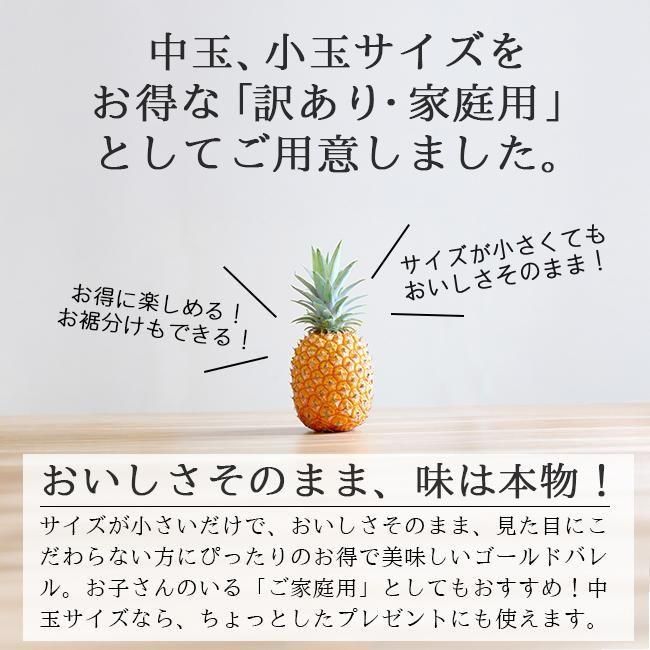 パイナップル ゴールドバレル | 訳あり 4玉入 - 《公式》ときわ パイナップル ゴールドバレル | 訳あり 4玉入 - 《公式》ときわ