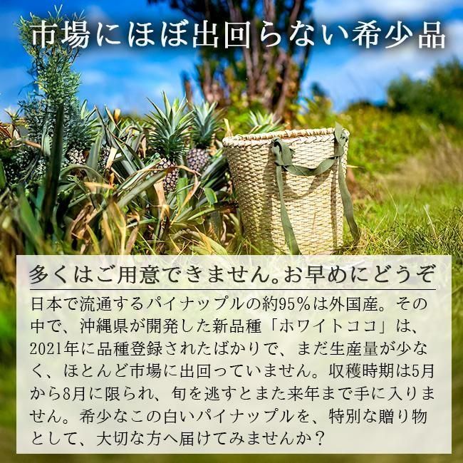 大玉ホワイトココパイナップル | セイモリファーム - 《公式