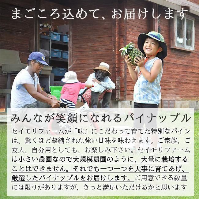 希少パイナップル　ホワイトココ小玉6〜8玉入り 186281181_o2.jpg?