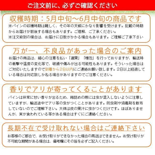 希少パイナップル　ホワイトココ小玉6〜8玉入り 大玉ホワイトココパイナップル | セイモリファーム - 《公式