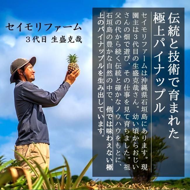 大玉ホワイトココパイナップル | セイモリファーム - 《公式