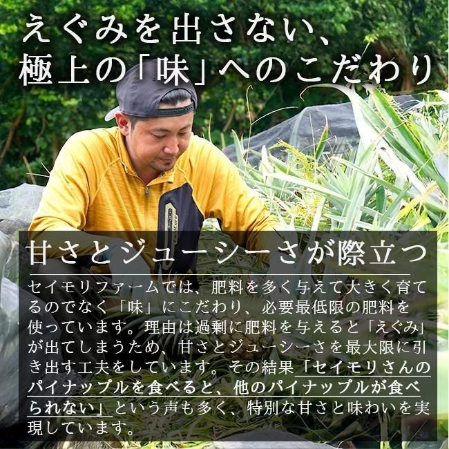 大玉ホワイトココパイナップル | セイモリファーム - 《公式