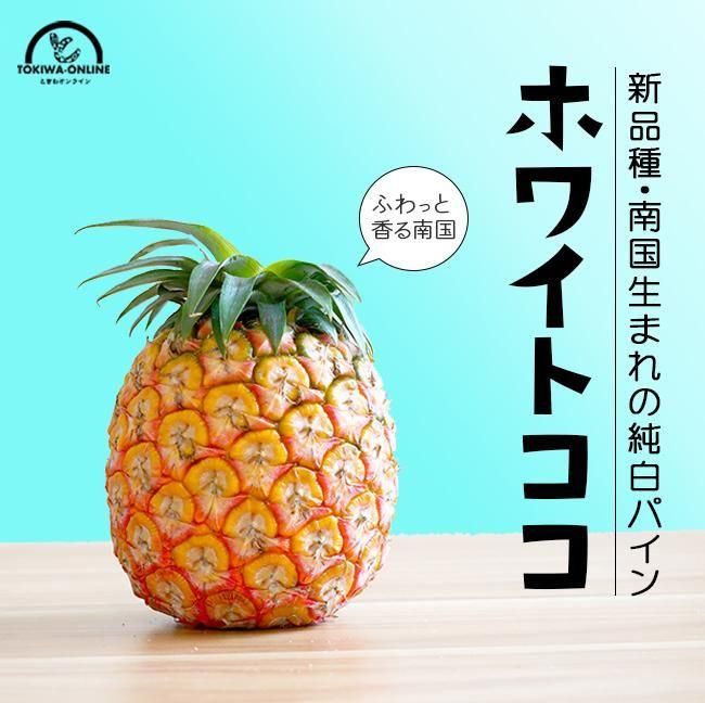 ホワイトココ パイナップル | 中玉4玉入 - 《公式》ときわ ホワイトココ パイナップル | 中玉4玉入 - 《公式》ときわ