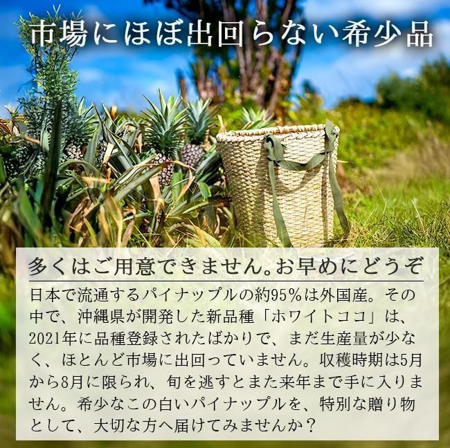 雙葉　研究資料　遠く地の果てまで　神のはからいは限りなく　ひとつぶの麦のように 第一義 春日山 ミニ10本入 [A061BN] | 店舗,大杉屋惣兵衛 | 旅