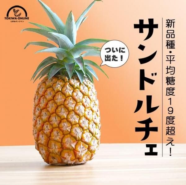  4 ɥ ѥʥåץ ե