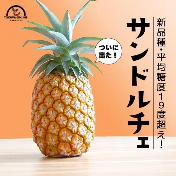  4 ɥ ѥʥåץ  ե