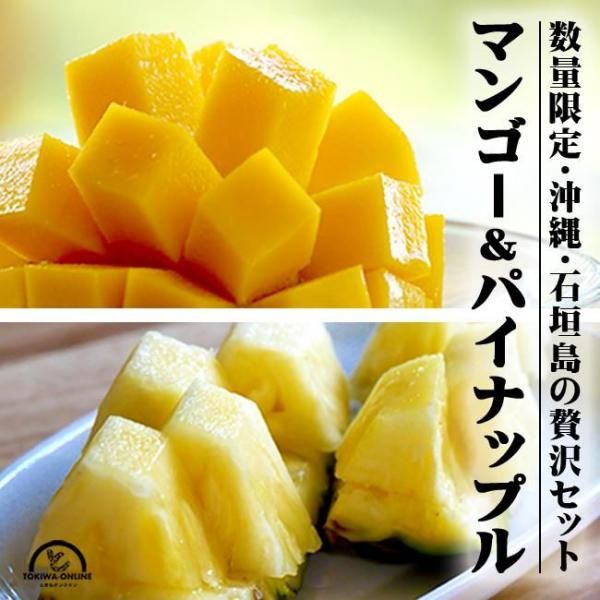 ޥ󥴡ѥʥåץ륻å Ȥޥ󥴡