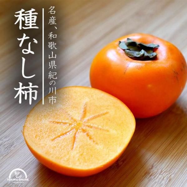 ̵  ̵ 5kg ²λ ꡼󥸥󥯥