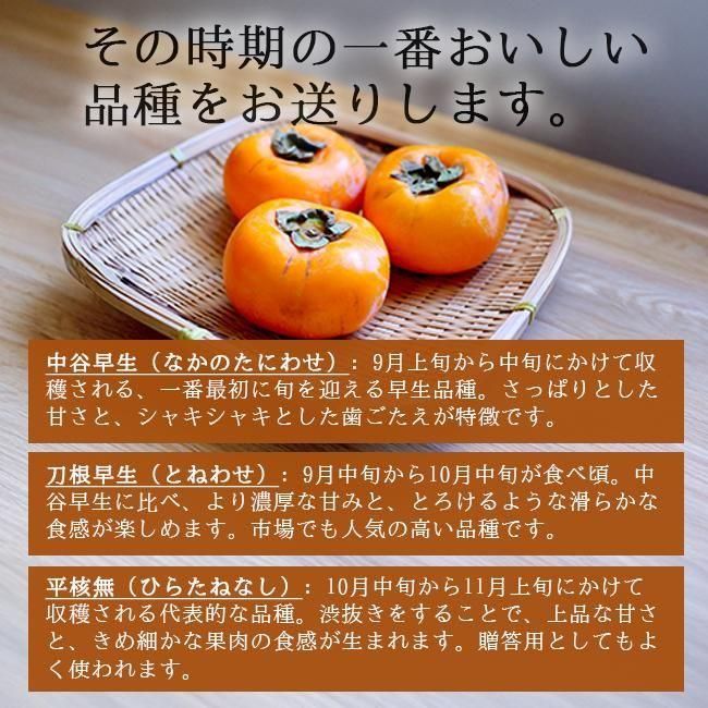 無農薬種無し柿 10kg | 和歌山産 - 《公式》ときわオンライン 農家直送