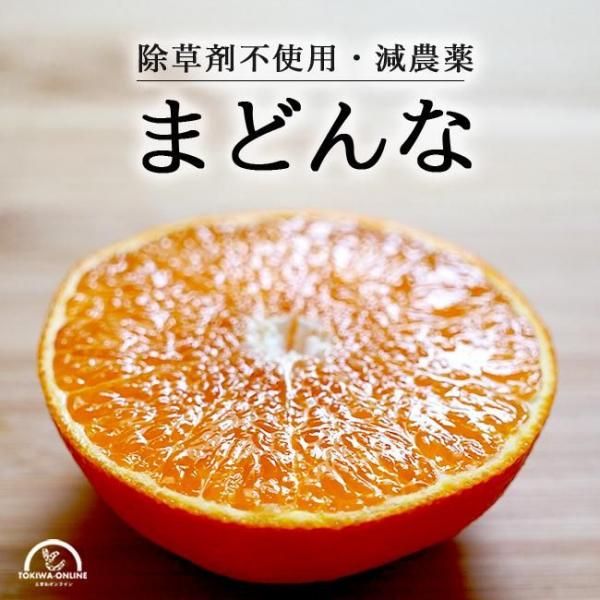 ޤɤ ʰɲ̻28  ե 2kg 󥸥饤