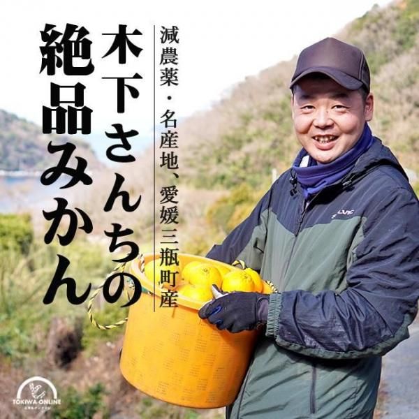 ߤʲѡ 3kg ɲ ͽ ڲ