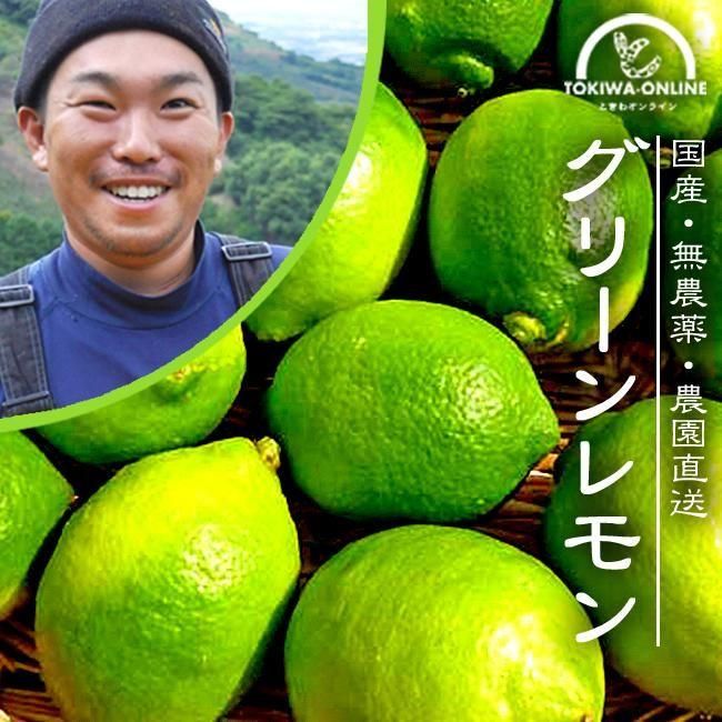  ̵ ꡼ 1kg ꡼󥸥󥯥