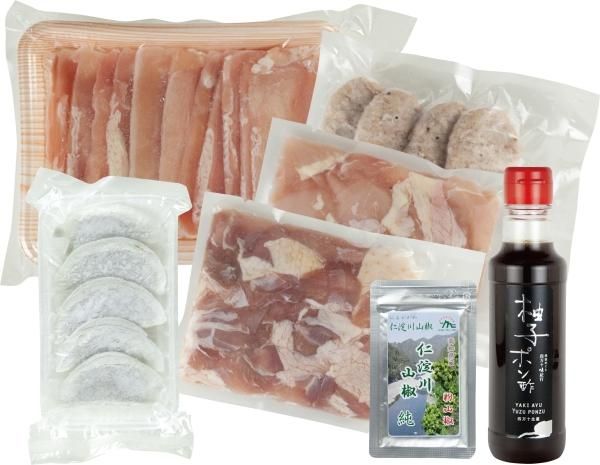 高知 土佐はちきん地鶏 モモ炭焼用 (500g) プレゼント ギフト
