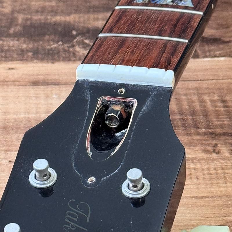 4TUNE CASINO トランプ 赤5青3セット T's Guitars Arc-STD22 5A Exotic Flame Maple Top Arctic Blue