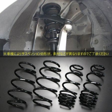 BLACK SUS】 ローダウン スプリングキット TOYOTA S402M BLACK SUS】 ローダウン スプリングキット TOYOTA S402M