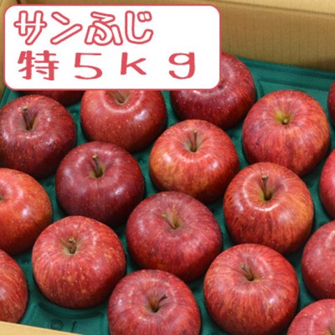 サンふじ特 5kg約18-20個パック詰（11月下旬以降出荷） | サンふじの