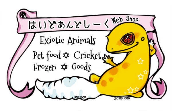 Ϥɤɤ.Web Shop