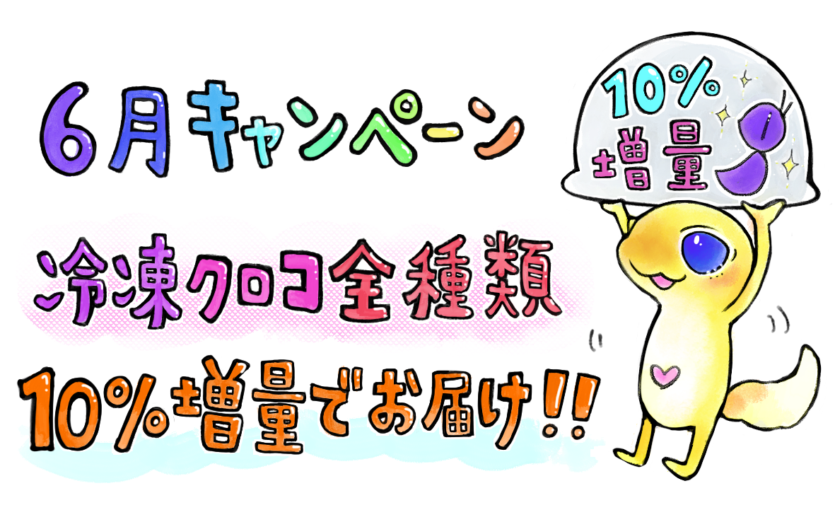 ¥¥ã¥ó¥Ú¡¼¥ó²èÁü