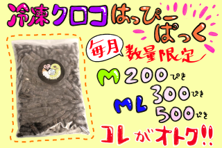 ヒヨコ - はいどあんどしーく.Web Shop ヒヨコ - はいどあんどしーく.Web Shop