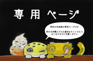 ѡϥˡ50