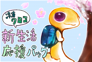 ウズラ - はいどあんどしーく.Web Shop ウズラ - はいどあんどしーく.Web Shop