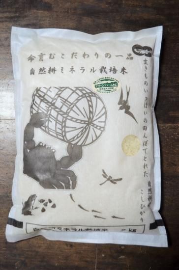 無農薬米 新潟産コシヒカリ 玄米 5kg 令和6年産の新米【数量限定
