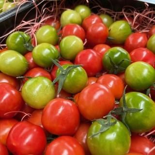 (1.2kg) դܤץפץפץפ襰꡼ Խդοء