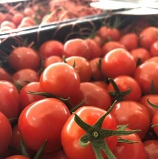 (1.2kg) դܤץפץפ Խդοء