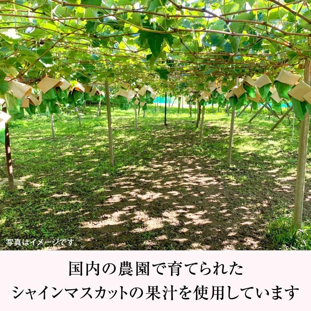 㥤ޥå꡼
