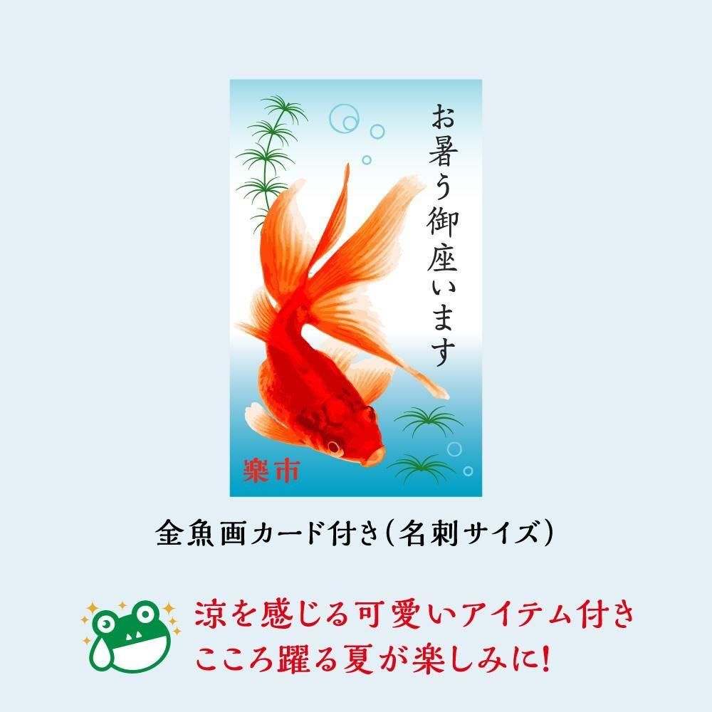 ̵۲ƤΥեBOX òۤȾޤΥå