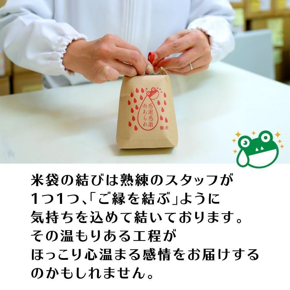 Ĥ3%OFF̵۴մ㱫 10ĥåȡʤ raku