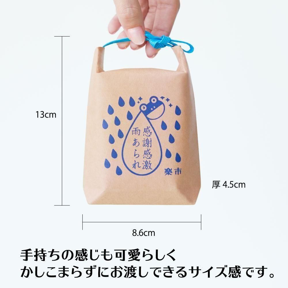 Ĥ3%OFF̵۴մ㱫 10ĥåȡʤ raku