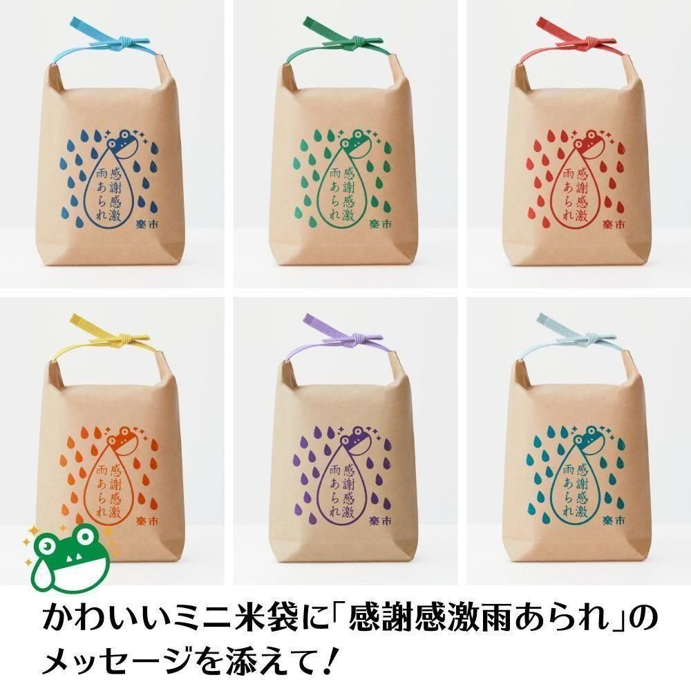 Ĥ3%OFF̵۴մ㱫 10ĥåȡʤ raku