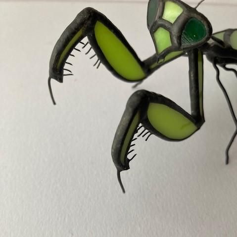 カマキリ - ステンドグラス スタジオパウゼ