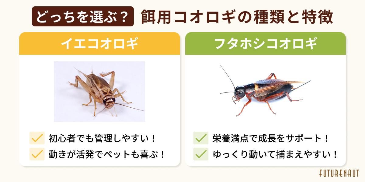 ѥμħ