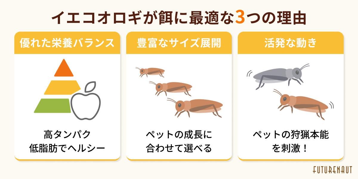 イエコオロギ｜餌用コオロギ専門通販サイトFuturenaut