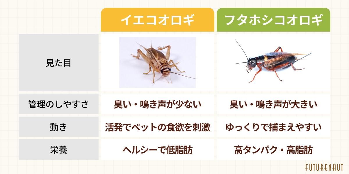 イエコML500gイエコM200gフタホシML1kg なんでも鑑定団よりも驚き！ 楽天市場】（生餌）生餌お試し