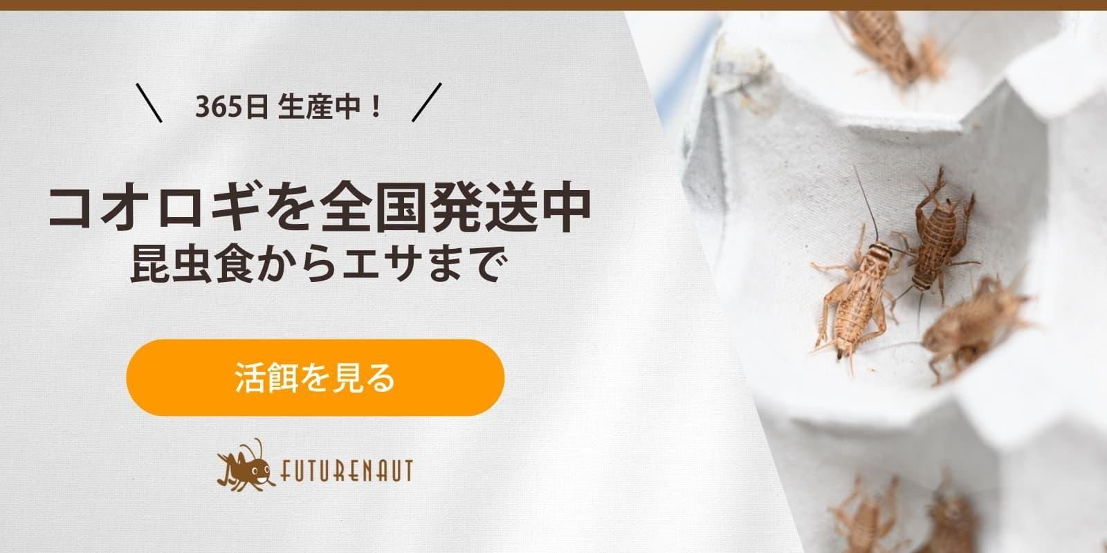 餌用コオロギ専門通販サイトFuturenaut（フューチャーノート）｜活