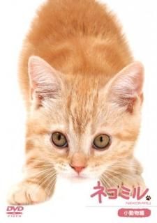 ネコミル　小動物編[DVD]
