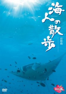 海人（うみんちゅー）の散歩【石垣島】[DVD]