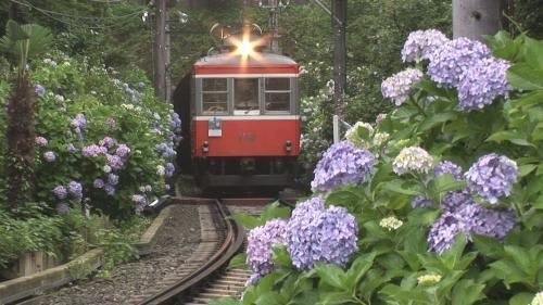 DVD 『感動の美景鉄道 春・夏・秋・冬』佐々倉実撮影 全8枚組