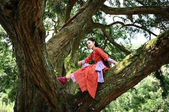 チャオ・ジンマイ『幻想神国記 運命の旅路』レンタル落ちDVD★全巻★中国ドラマ 幻想神国記 運命の旅路（全40話） - MAXAM