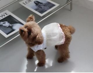 Mignon tutu Dress