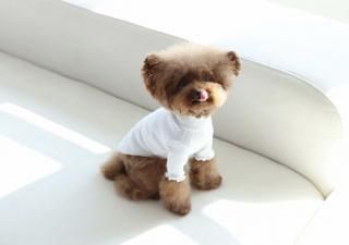 neck tee
