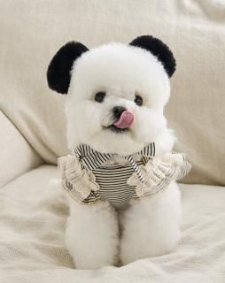 Panda Hat