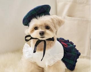 Preppy Beret